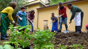 Inizio lavori nell'orto