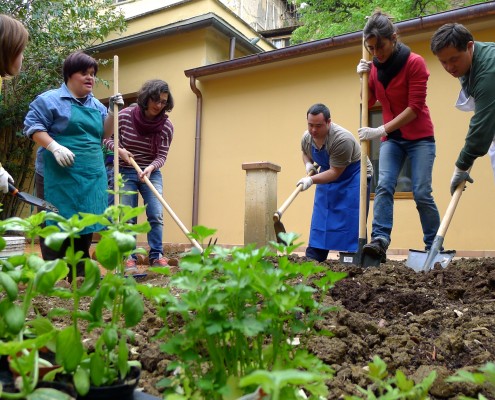 Inizio lavori nell'orto
