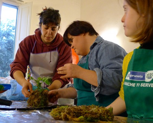 Preparazione kokedama