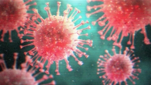 Immagine ingrandita del coronavirus