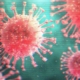 Immagine ingrandita del coronavirus